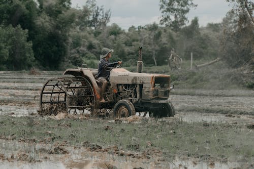 Photos gratuites de agriculteur, conduire, homme