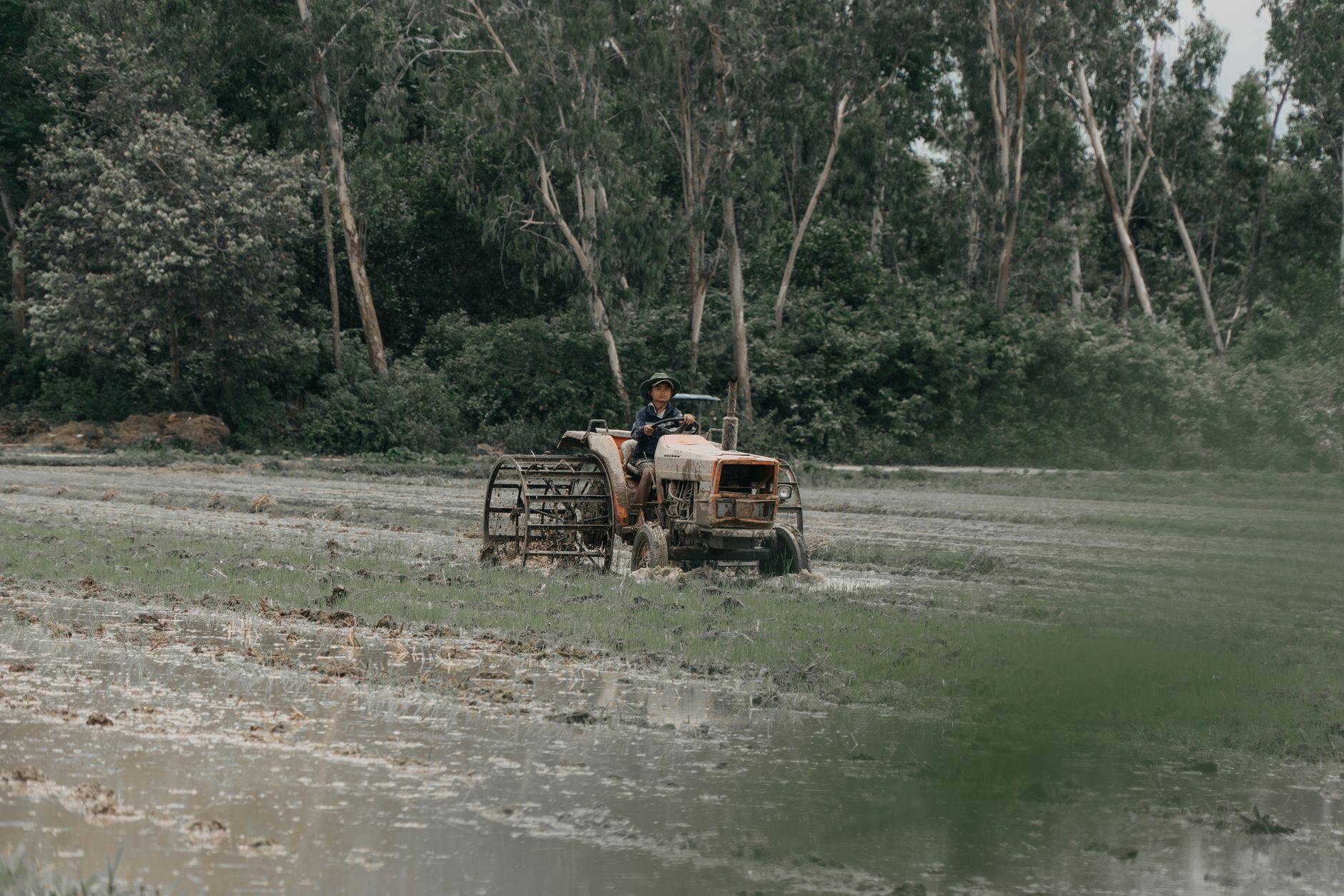 A farmer operates a tractor amidst lush greenery in an open field, showcasing rural life.