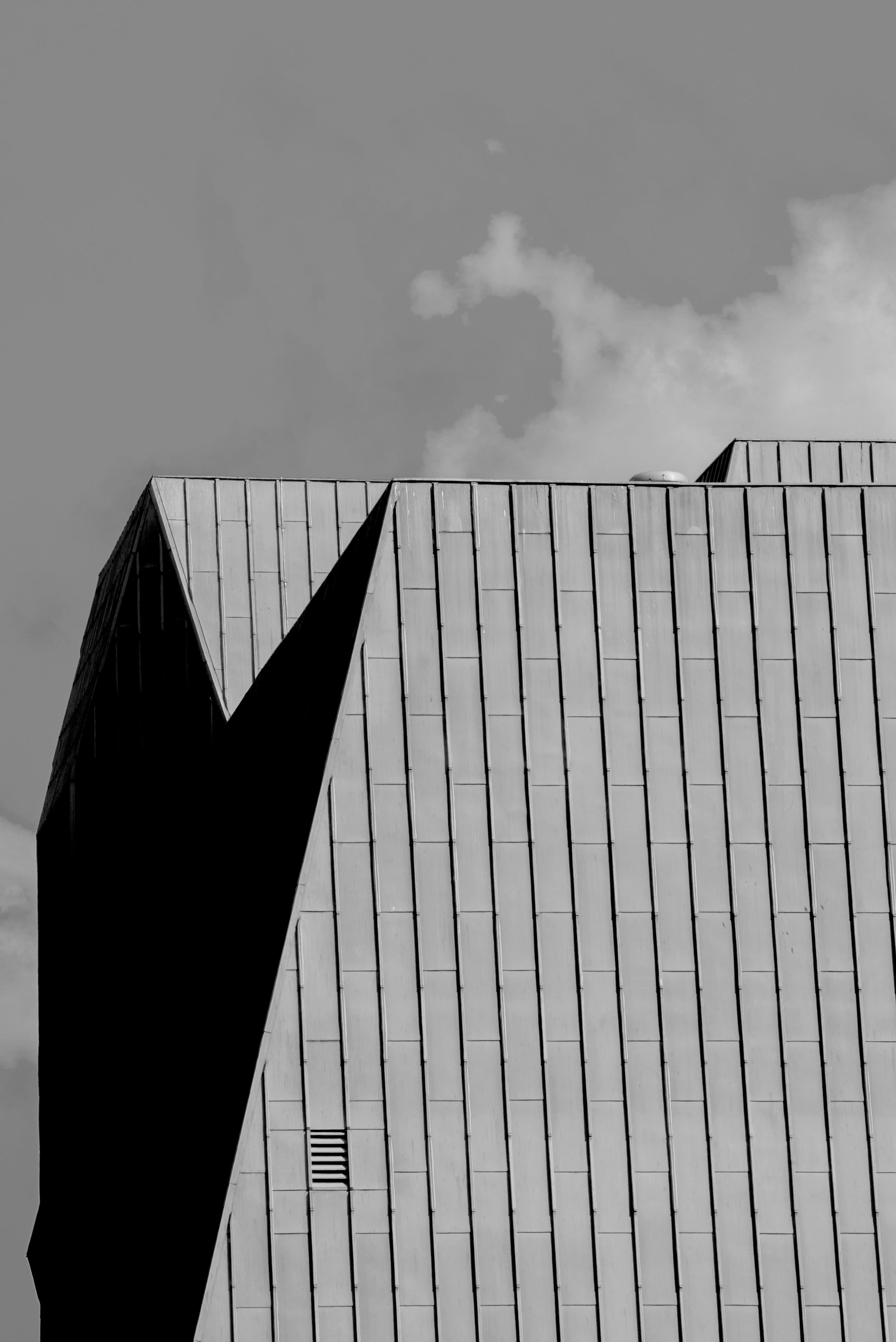 Kostnadsfria Gråskalafoto Av En Byggnad Stock foto