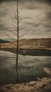 Brown Bare Tree on Body of Water