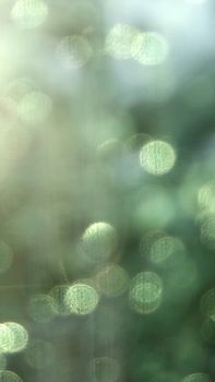 Artistic bokeh shot of green light circles creating a dreamy, abstract effect.
