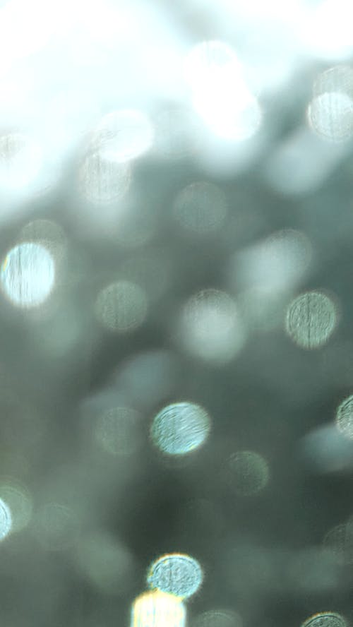 Fotobanka s bezplatnými fotkami na tému bokeh, oblý, pozadie