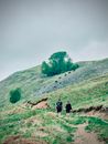 2 People Walking on Green Grass Field