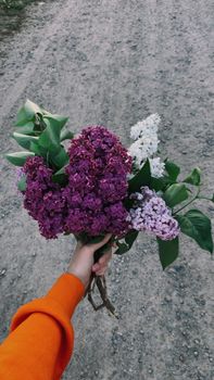 A person wearing orange holds a bouquet of vibrant lilacs on an unpaved road.