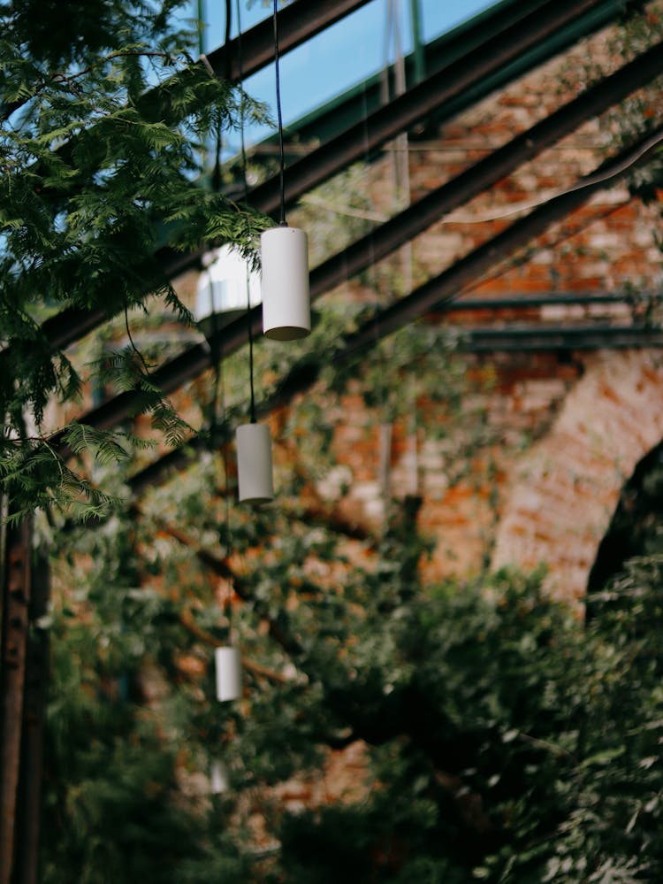 Lamps In Greenhouse