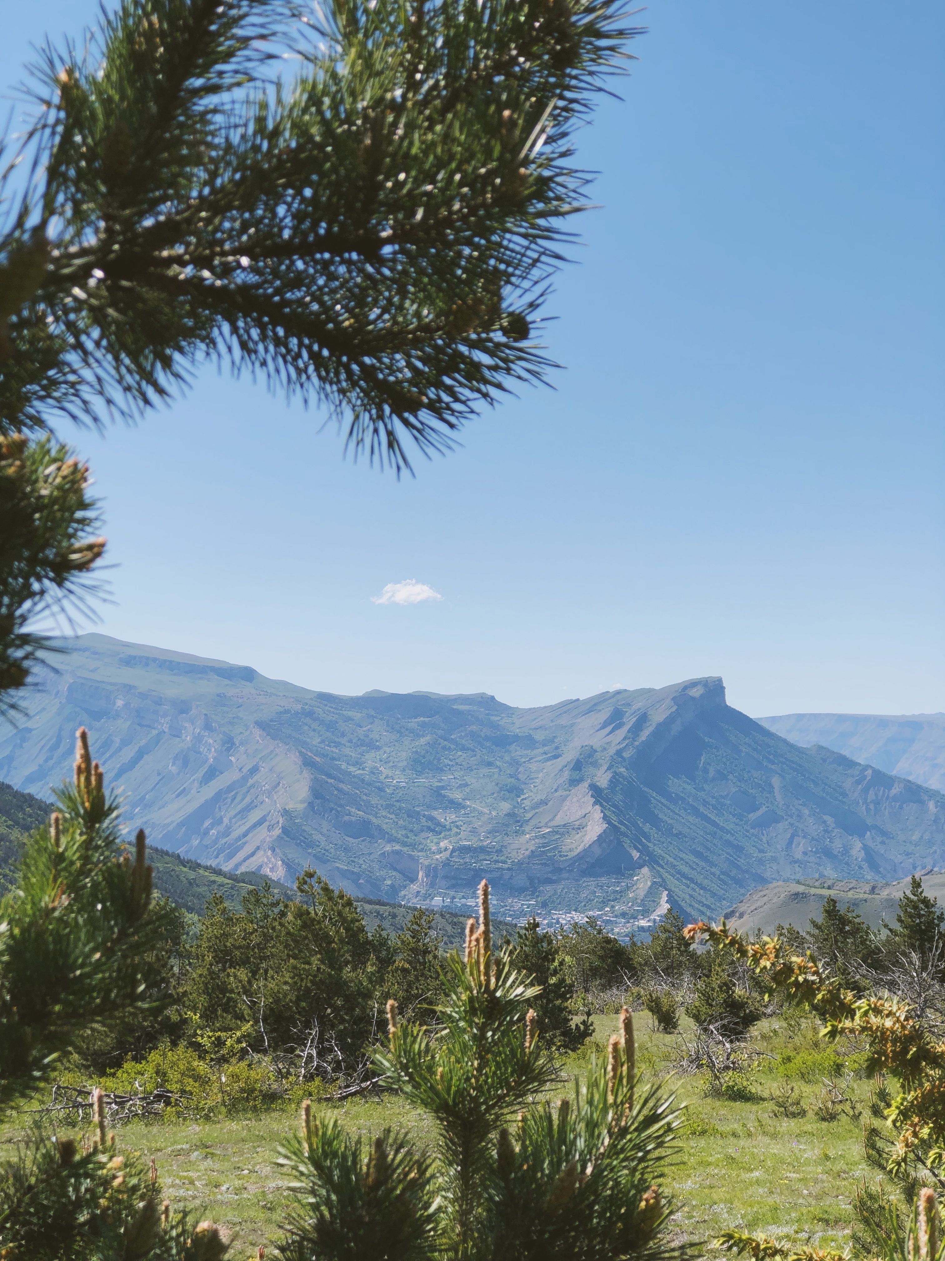 A Green Trees Near the Mountain Under the Blue Sky · Free Stock Photo