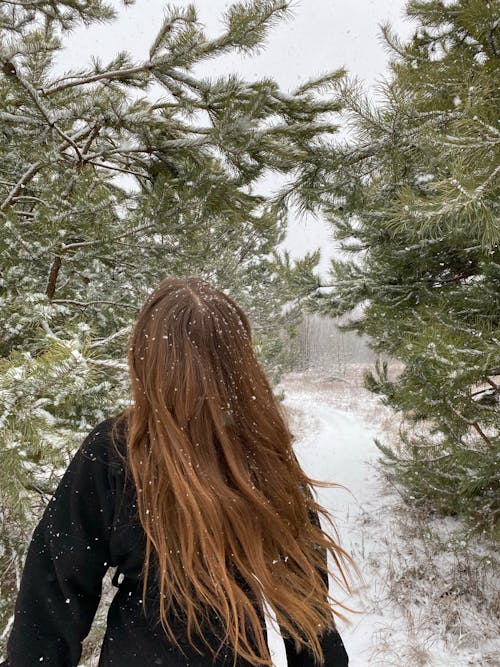 A Person in Black Jacket Standing Near Green Trees Covered With Snow
