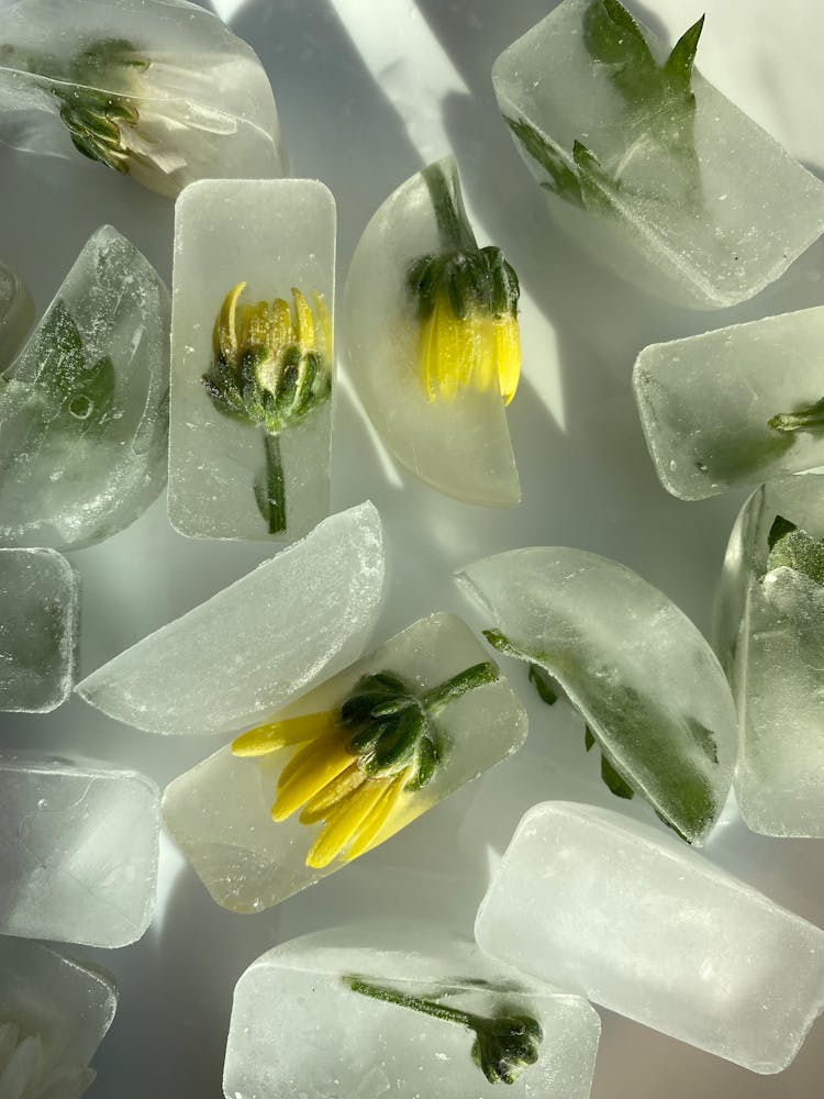 Flowers In Ice Cubes 