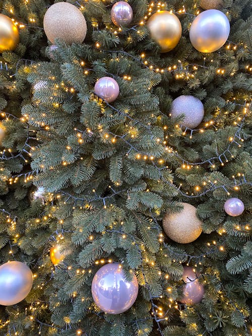 無料 クリスマスツリー, クリスマスの灯り, クリスマスボールの無料の写真素材 写真素材