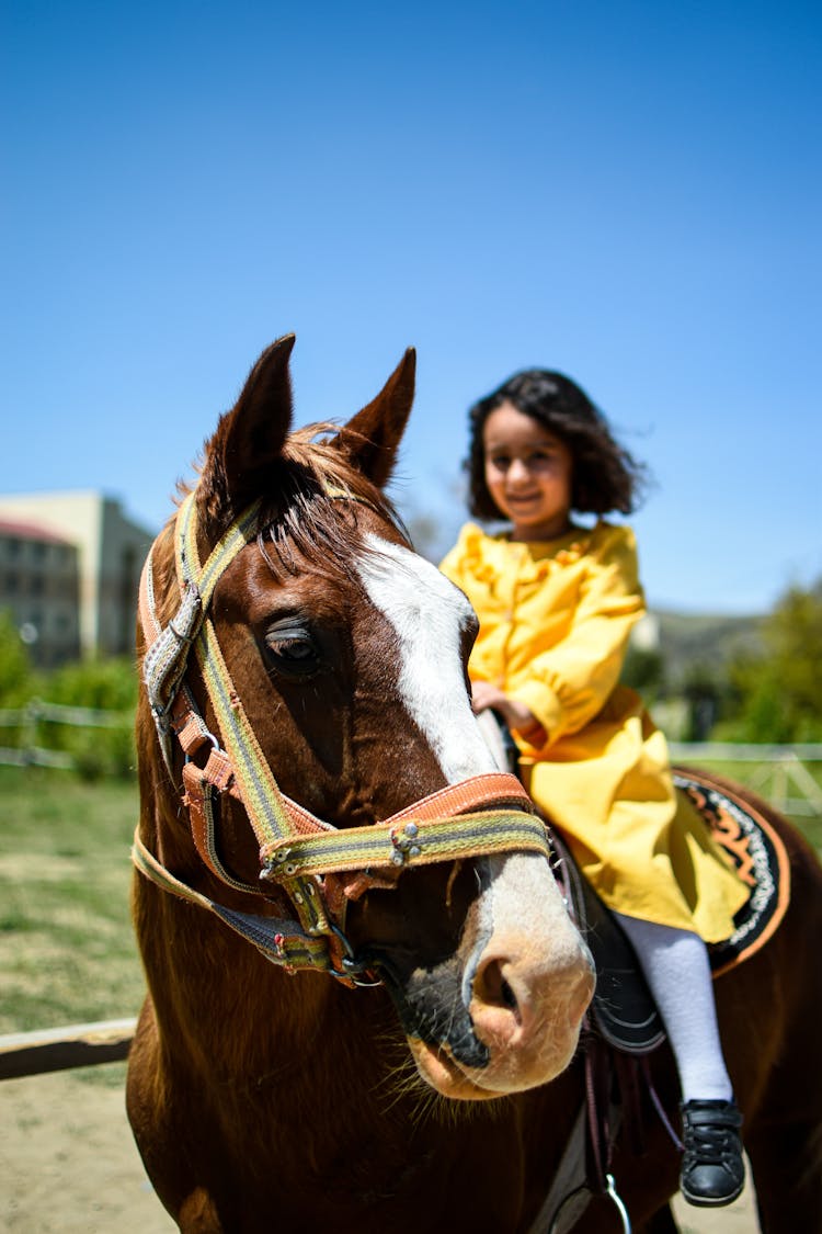 Child Riding Horse In Nature