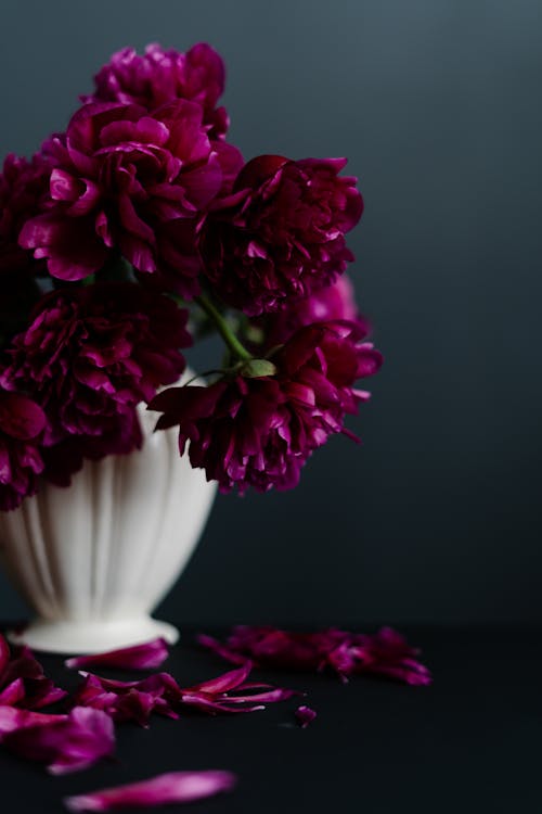 Peonies in a Vase