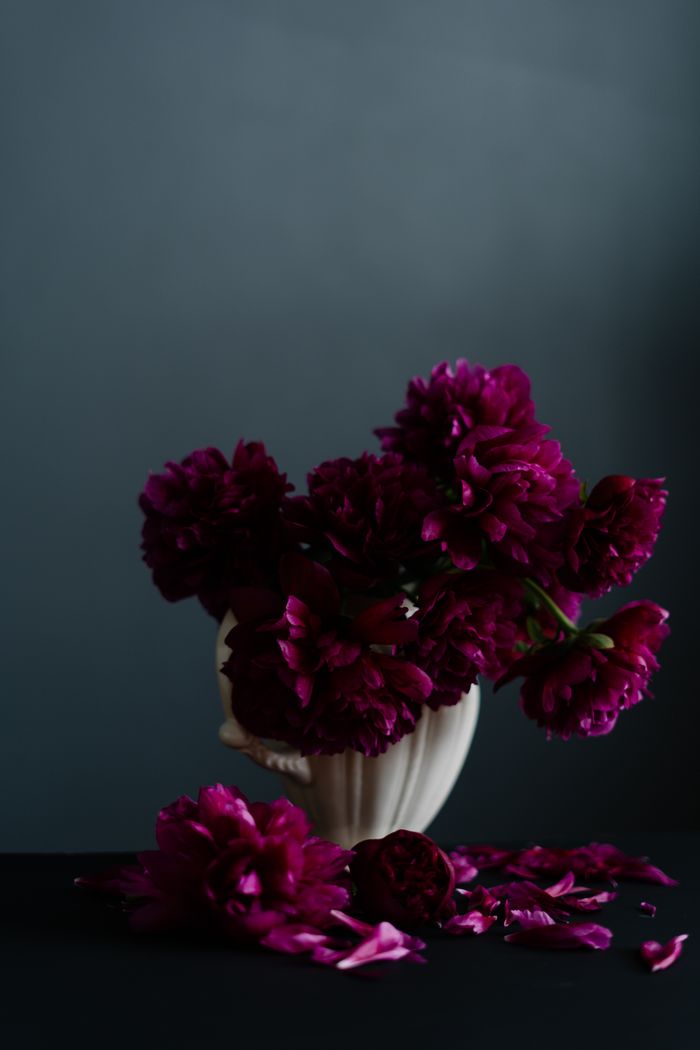 Deep magenta peonies in a fluted vase against slate, by Albina White on Pexels