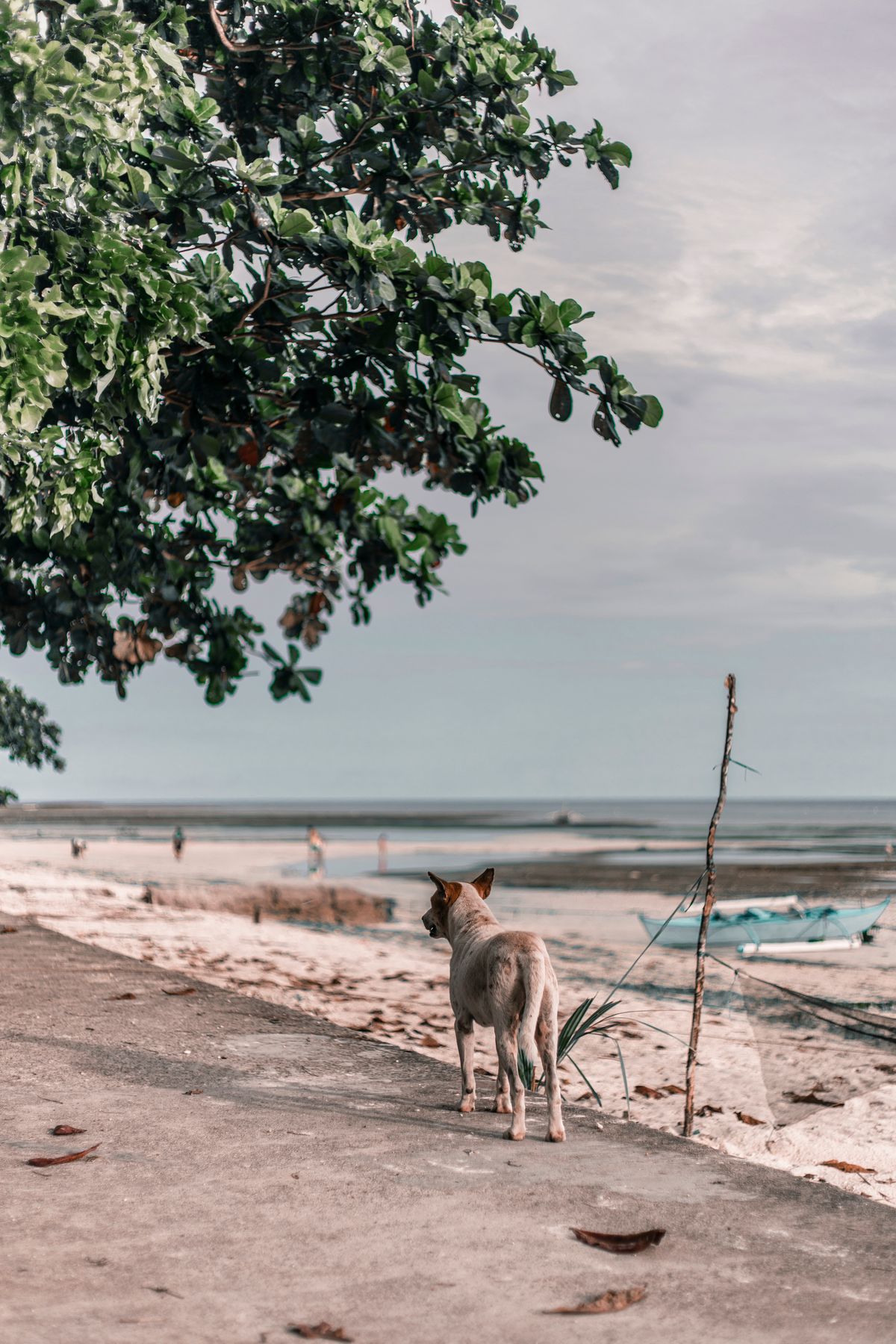 Siquijor culture