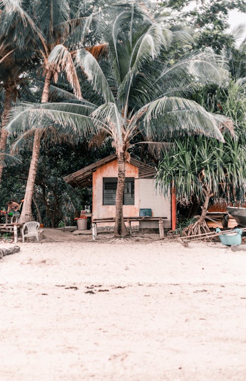 Free Beach Cottage Beside Coconut Tree Stock Photo