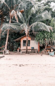 Charming beach hut surrounded by palm trees on a sandy shore in Siquijor, perfect for a tropical getaway.