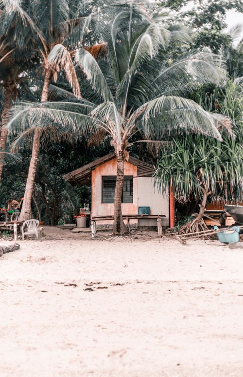 Free Charming beach hut surrounded by palm trees on a sandy shore in Siquijor, perfect for a tropical getaway. Stock Photo
