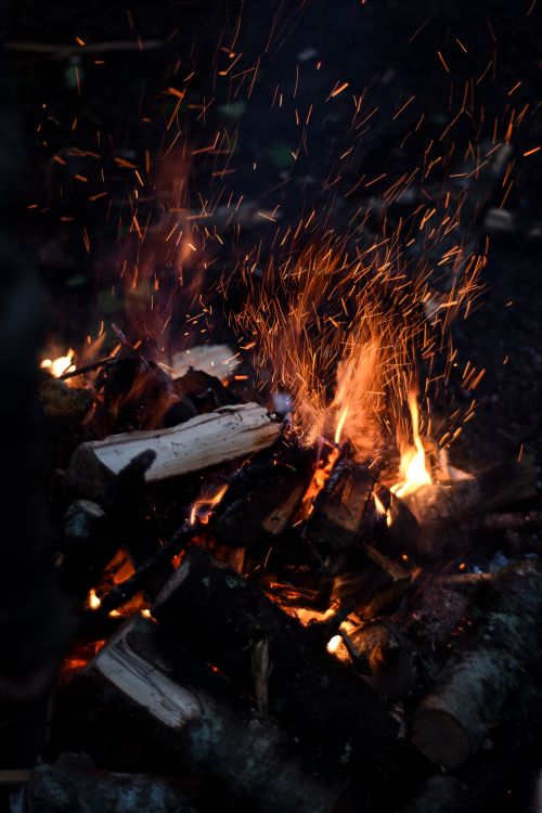 Free A captivating close-up of crackling campfire flames and sparks in a dark forest setting in Bolu, Turkey. Stock Photo