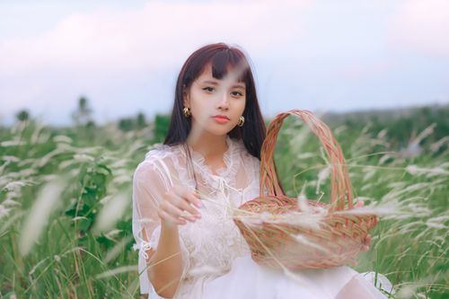 Free A serene image of an Asian woman sitting in a field holding a basket, evoking tranquility and natural beauty. Stock Photo