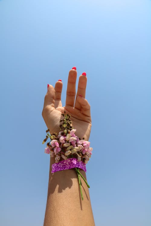 Free Person With Pink and White Flower on Hand Stock Photo