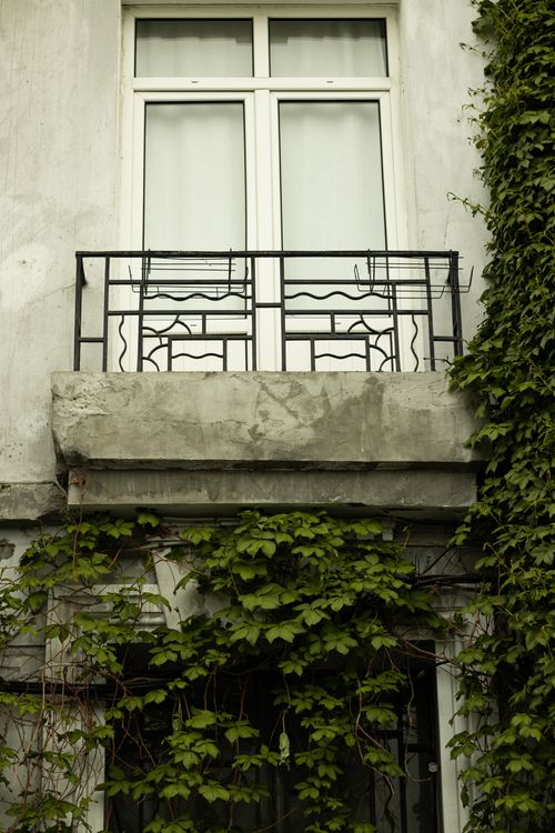 Free A balcony with iron railings overgrown by lush green ivy on a residential building. Stock Photo
