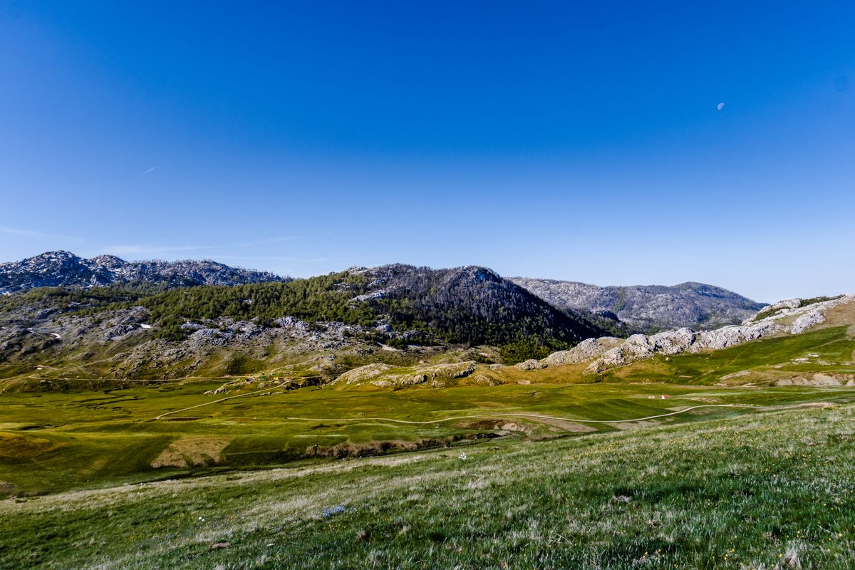 Rocky mountains and green pasture under a blue sky