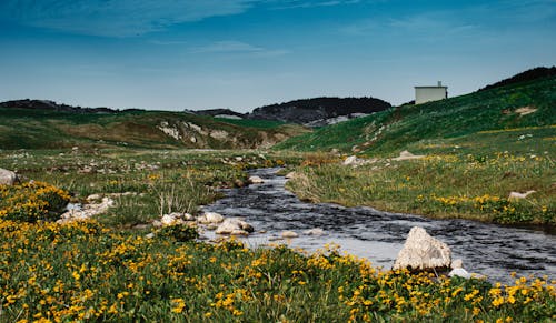 Kostenloses Stock Foto zu berg, blauer himmel, feld