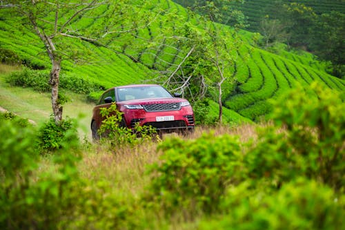 Range Rover Sport Driving Through Off-road Landscape 