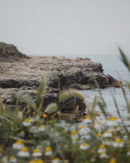 Rocky Barren Seashore