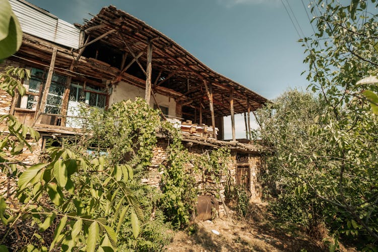 Village House With Plants In Garden