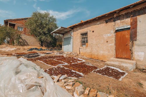 avlu, Bahçe, bitkiler içeren Ücretsiz stok fotoğraf