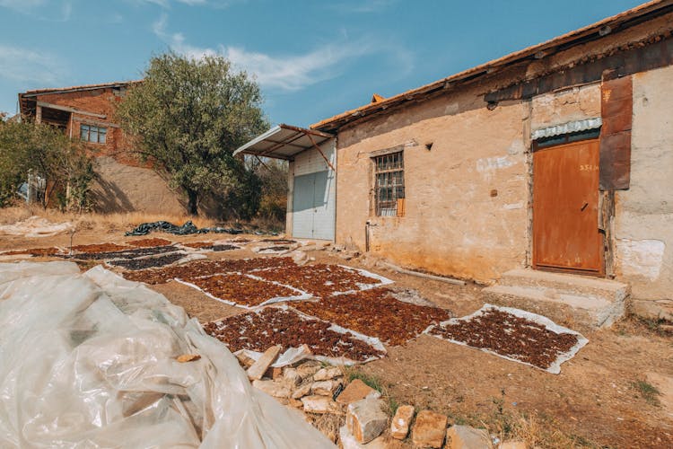 Village House And Sun Drying Herbs