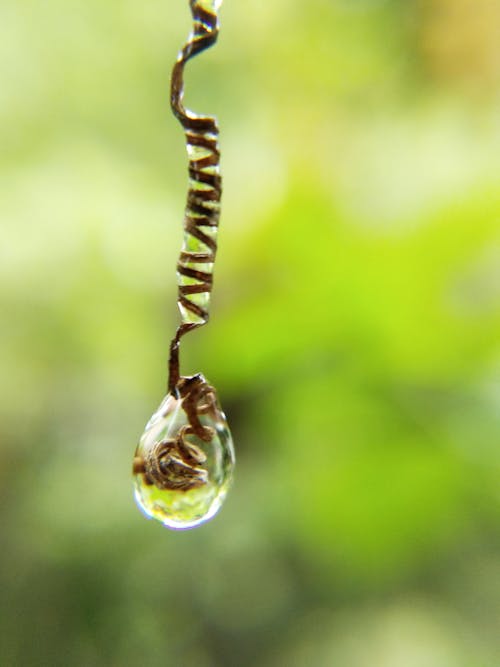 Free Water Drop on Brown Rope Stock Photo