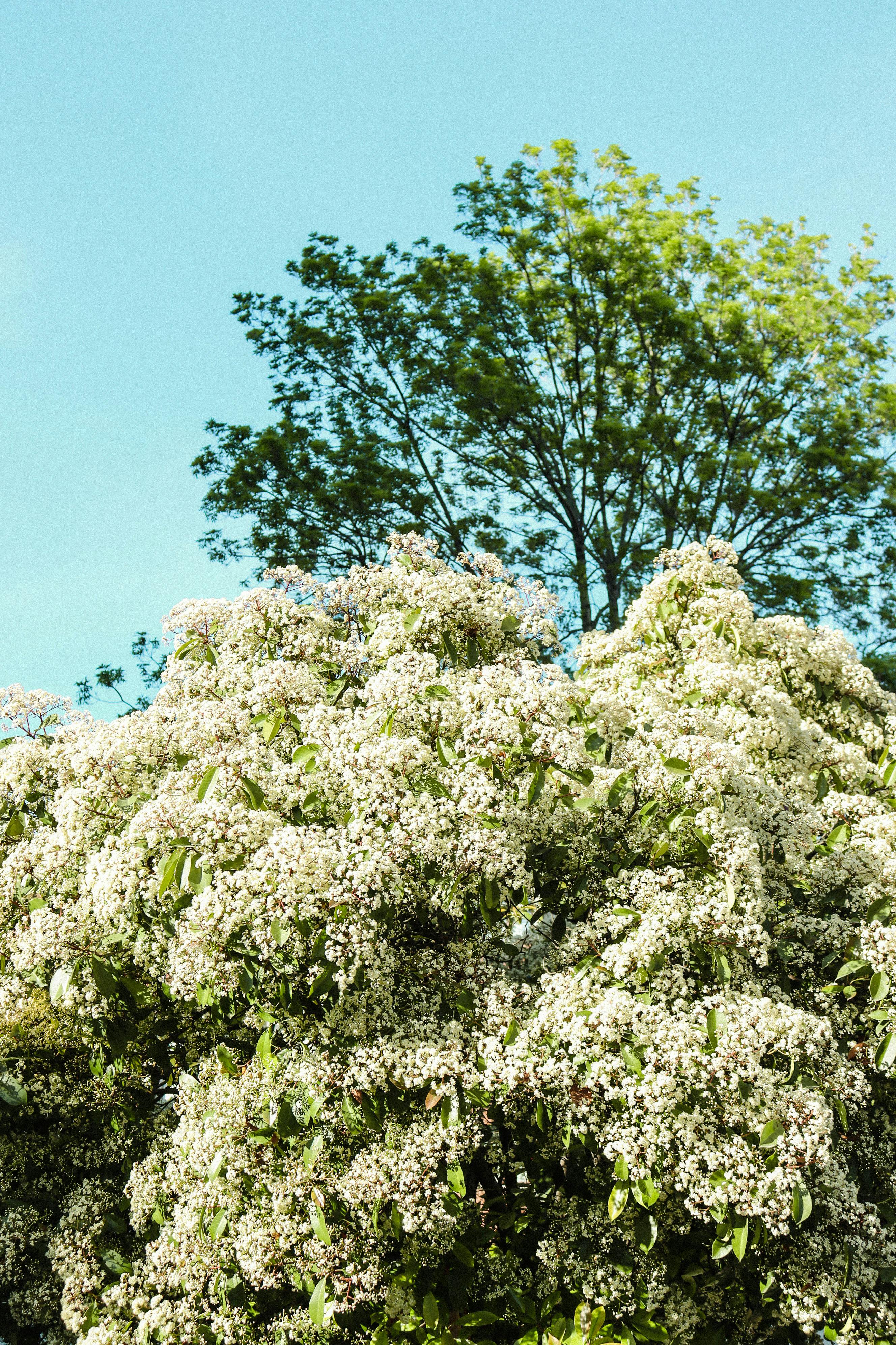 What's a good growth rate for TikTok?