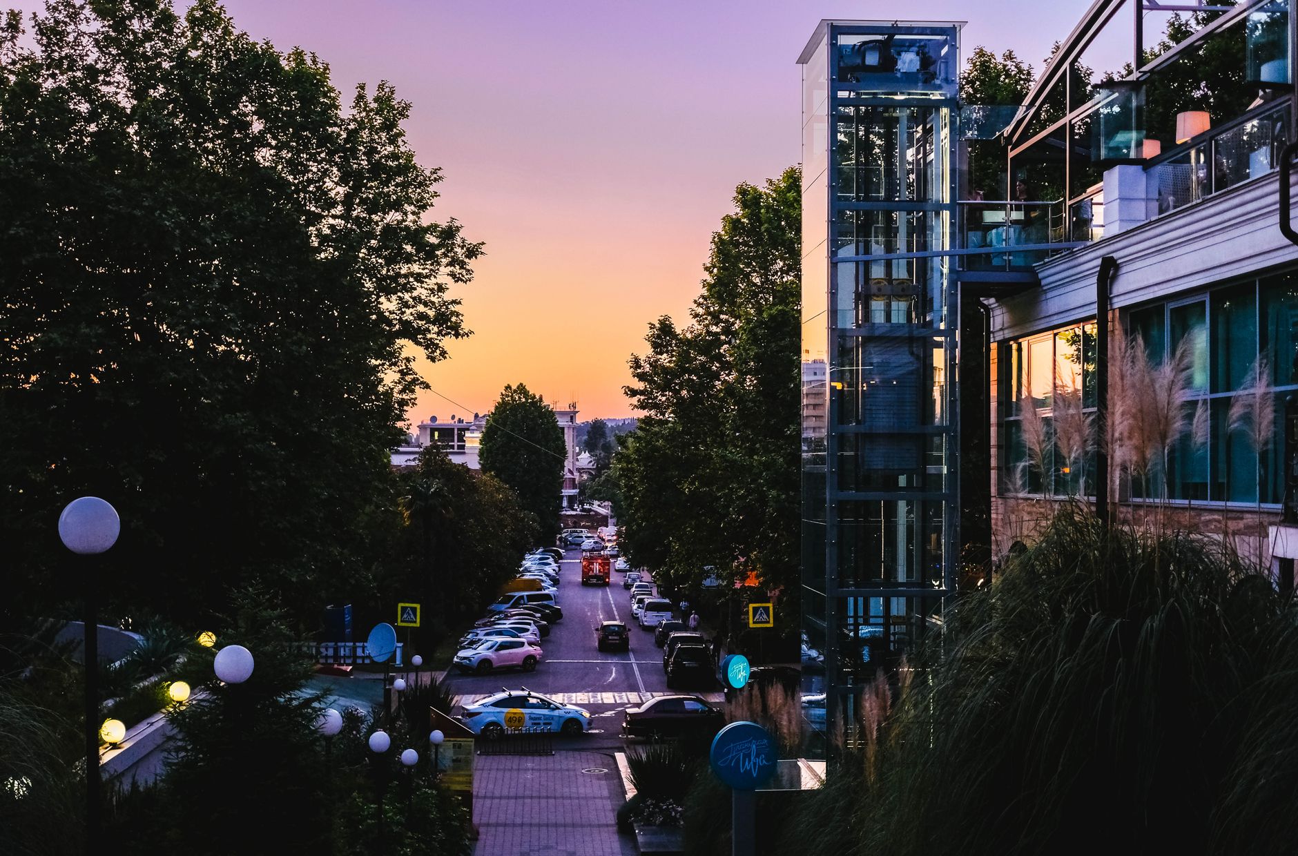 Street in Middle of Trees and Buildings