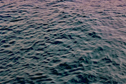 Close-up of Sea Surface Reflecting Pink Sunset 