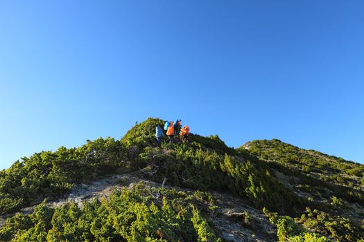 A group of hikers ascends a lush mountain ridge under a clear blue sky in Taiwan.