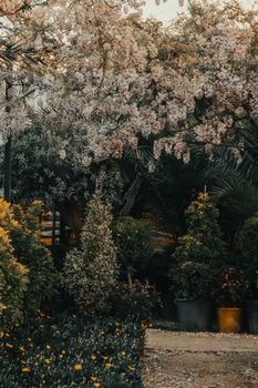 A peaceful outdoor garden scene featuring cherry blossoms and lush greenery in a tranquil setting.