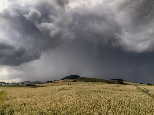 Kostenloses Stock Foto zu bauernhof-feld, bewölkter himmel, desktop hintergrundbilder