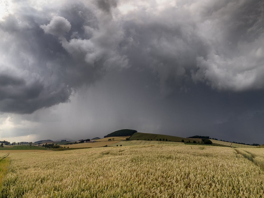 Základová fotografie zdarma na téma horizont, hřiště, krajina