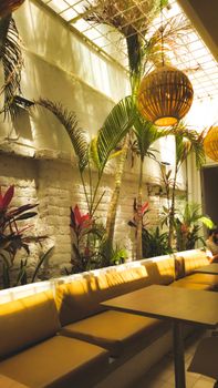Sunlit restaurant with cozy seating, potted plants, and inviting decor for a tranquil dining experience.