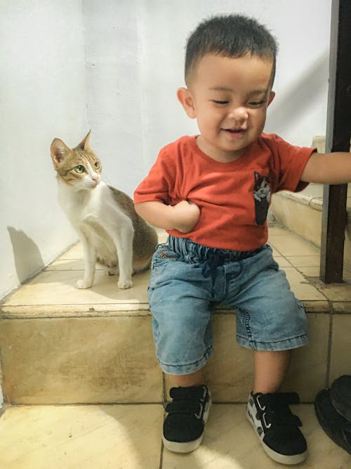 Free stock photo of asian boy, friendship, kitten Stock Photo
