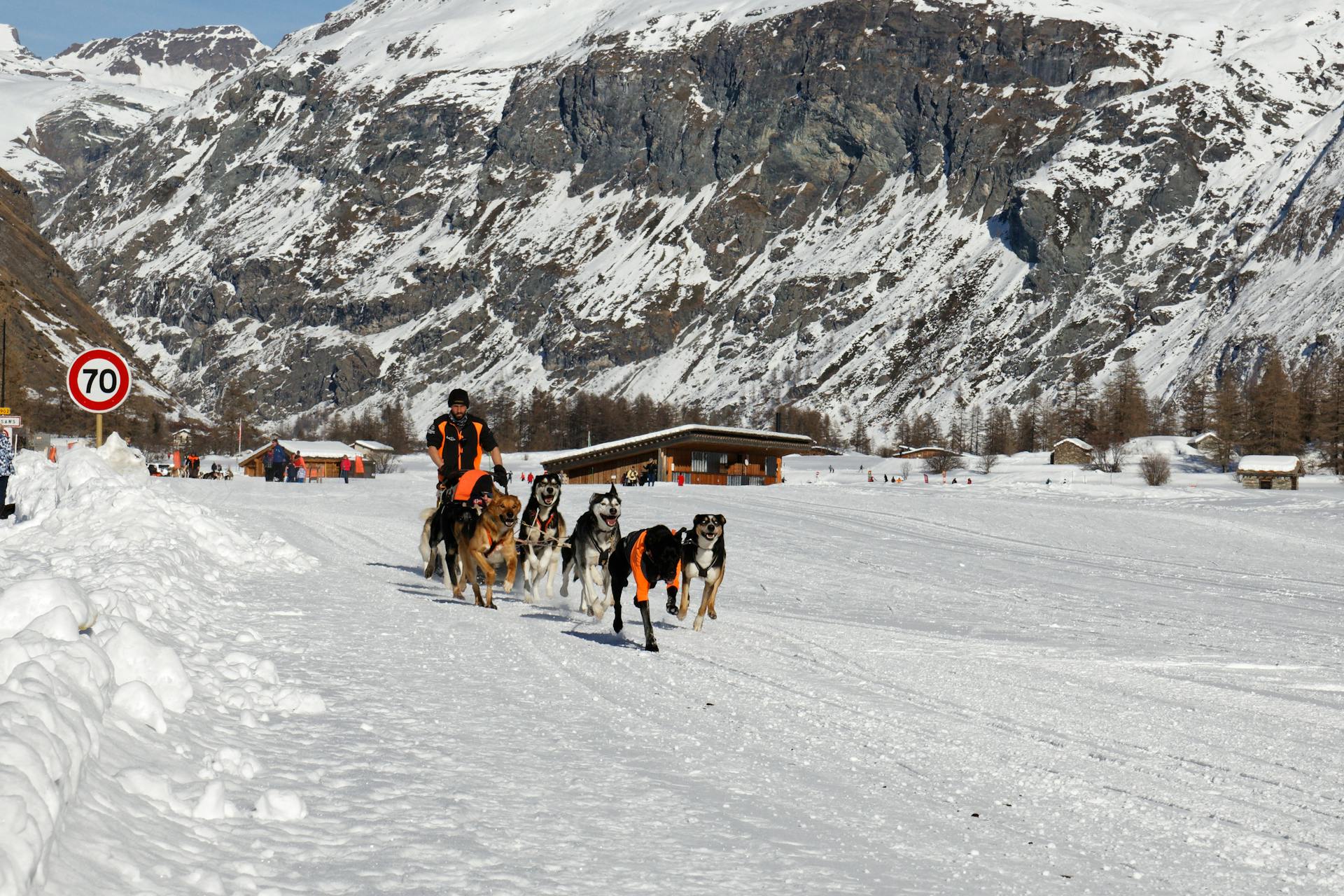 A Man Walking on a Snow Covered Ground with His Dogs