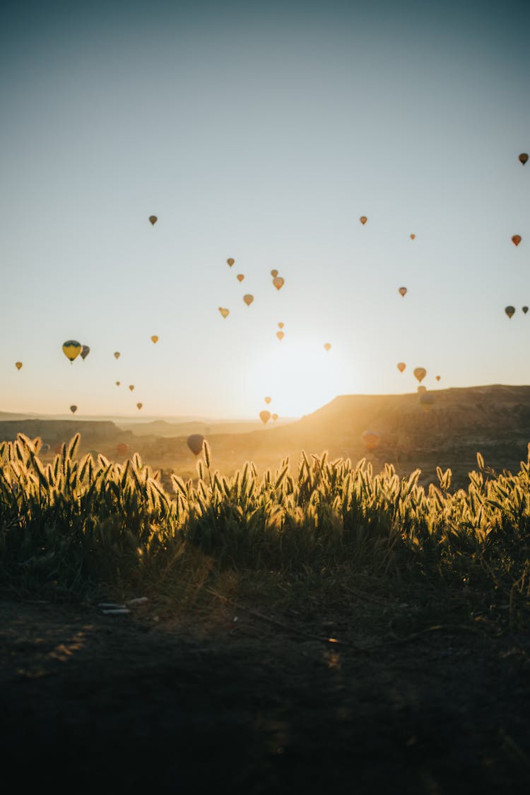 Photo Of Going Up Hot Air Balloons