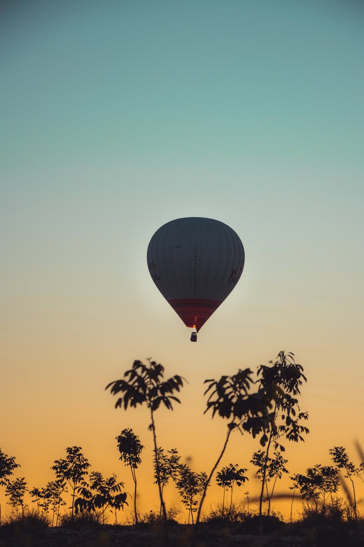 Photo Of A Flying Hot Air Balloon Above Palm Trees