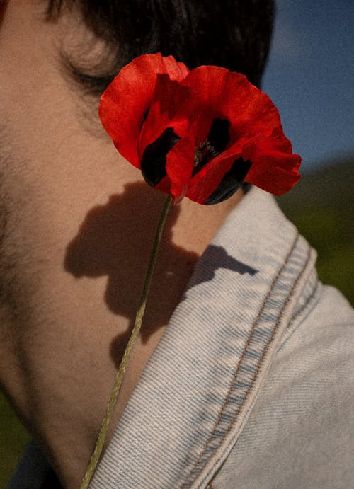 Red Flower Near a Person's Neck