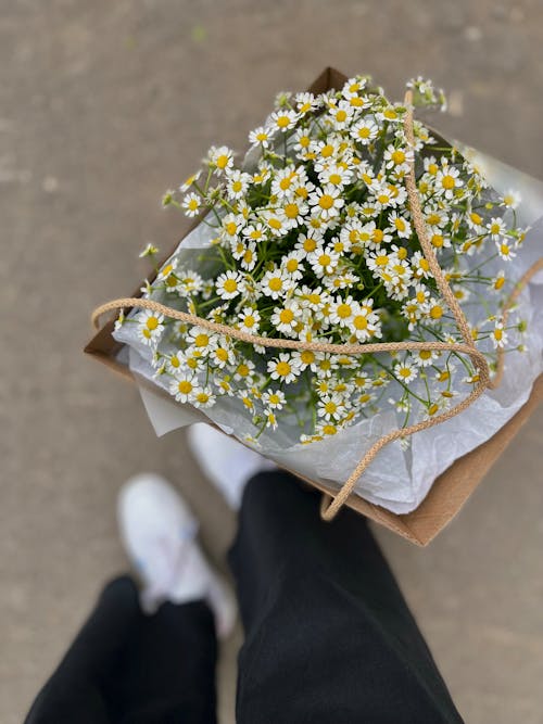 Top View of a Bouquet of Chamomiles in Paper Bag