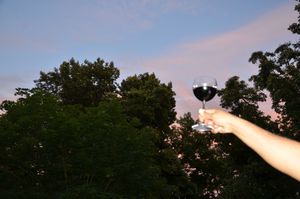 Trapiche Reserve — Malbec