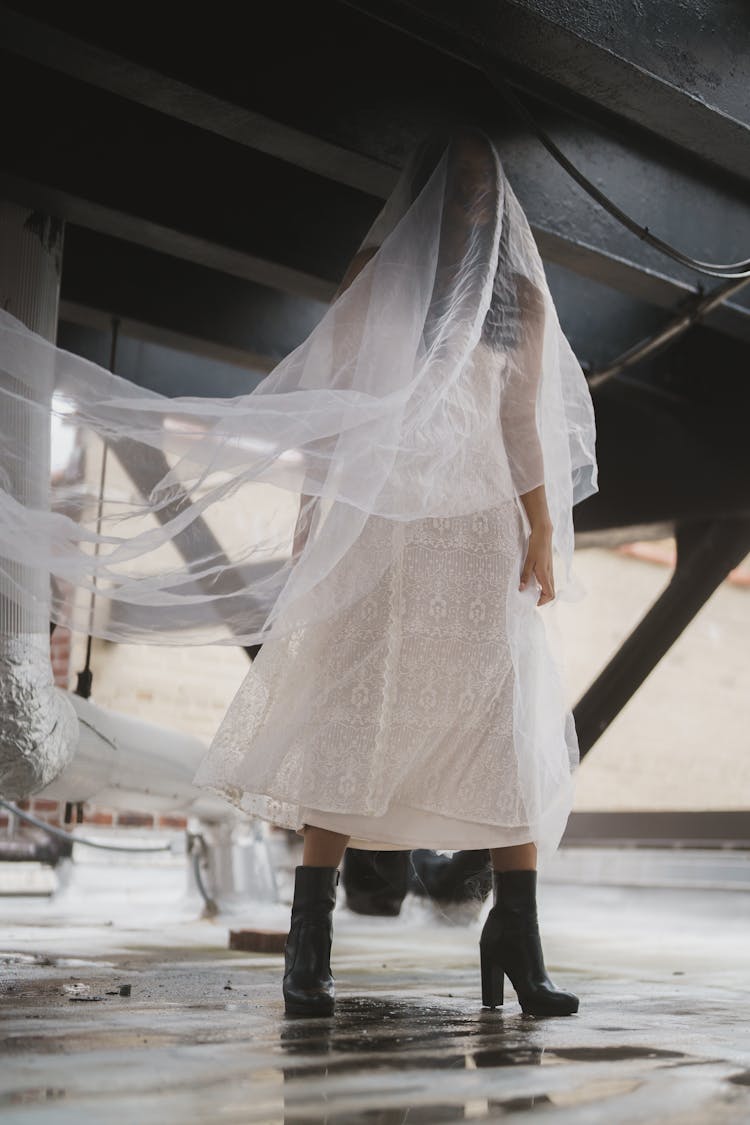 Woman In Veil And Wedding Dress