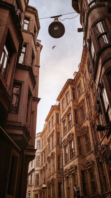Captivating view of historic Istanbul buildings with a bird flying under a clear sky.