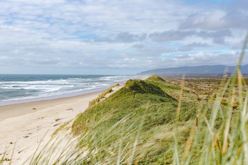 Free Breathtaking coastal view with dunes and ocean waves along the Oregon coastline, perfect for relaxation. Stock Photo